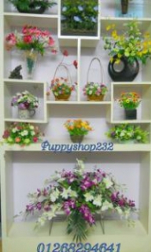 Hoa lụa hoa giả trang trí cao cấp, hoa điện, hoa đất Thái Lan giao hàng tận nhà