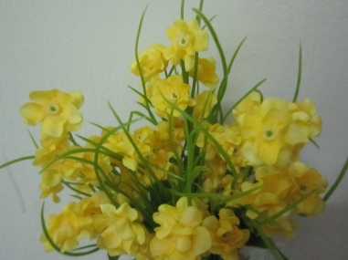Hoa cỏ vàng